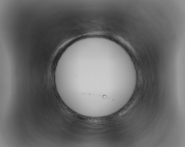 X0000115511215200911060956