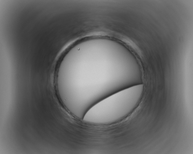 X0000115511216200911060956