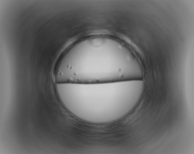 X0000115511221200911060956