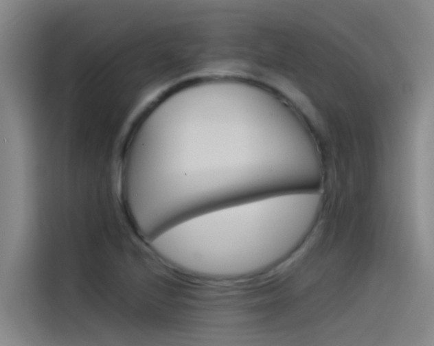 X0000115511224200911060956