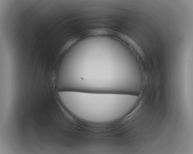 X0000115511225200911060956