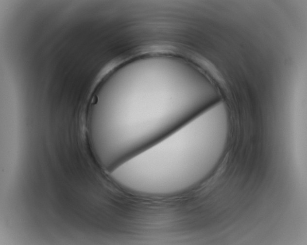 X0000115511226200911060956