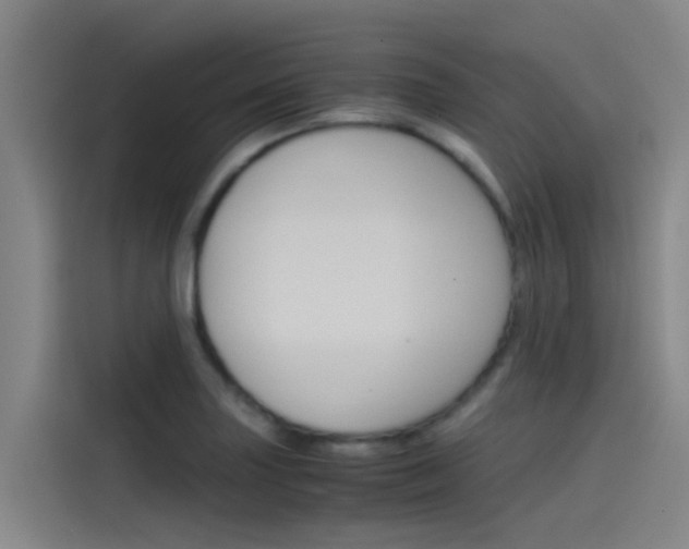 X0000115511227200911060956