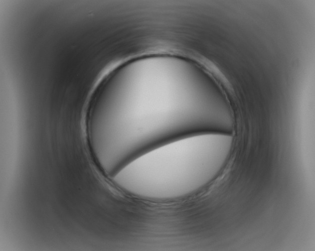 X0000115511230200911060956