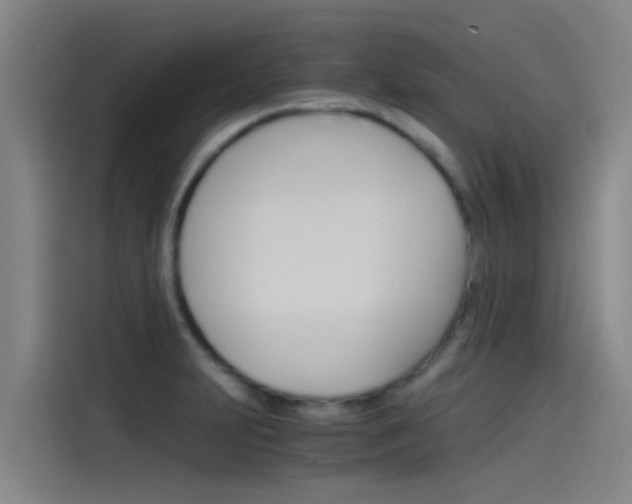 X0000115511231200911060956