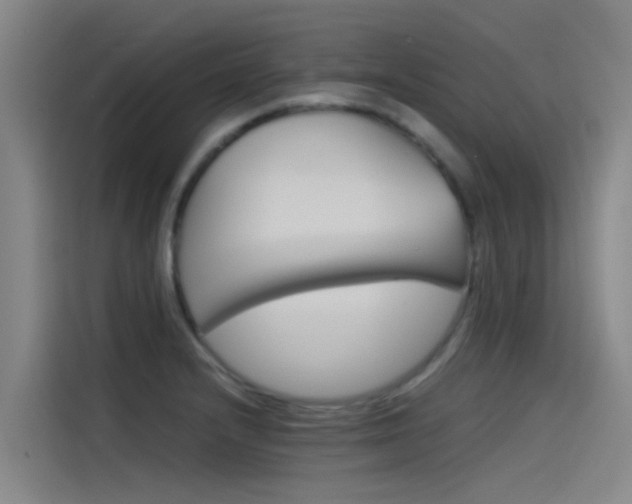 X0000115511232200911060956