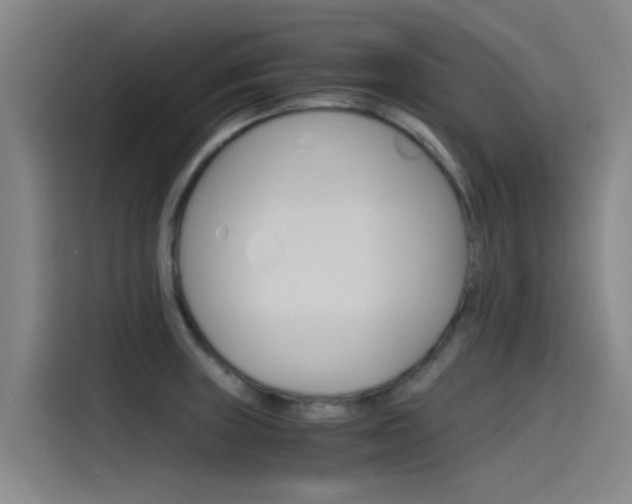 X0000115511235200911060956