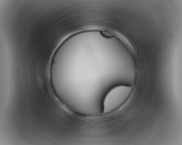 X0000115511236200911060956