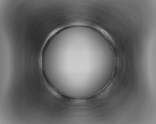 X0000115511238200911060956