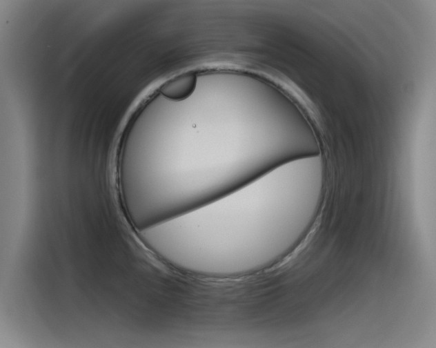 X0000115511240200911060956