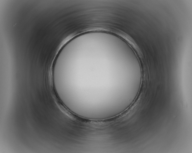 X0000115511242200911060956