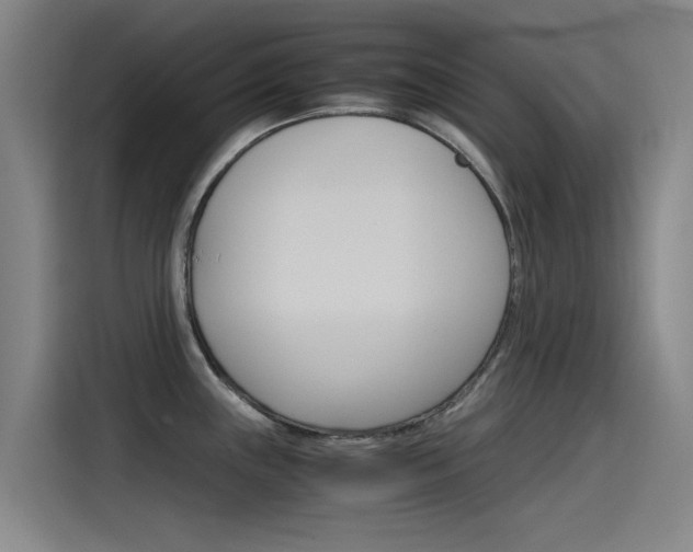 X0000115511243200911060956