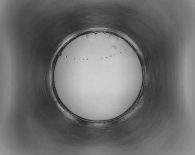 X0000115511245200911060956