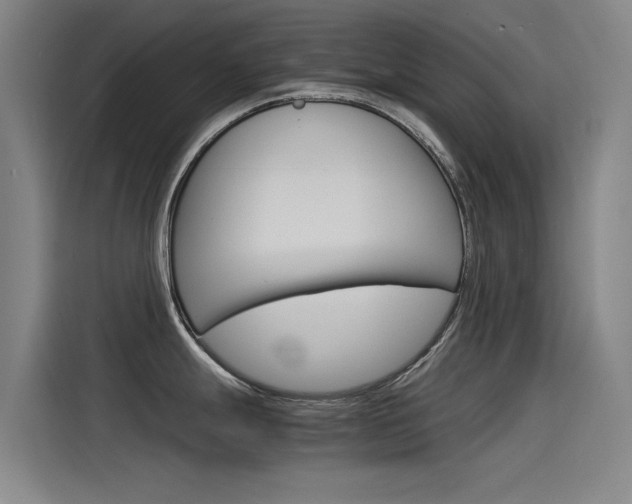 X0000115511247200911060956