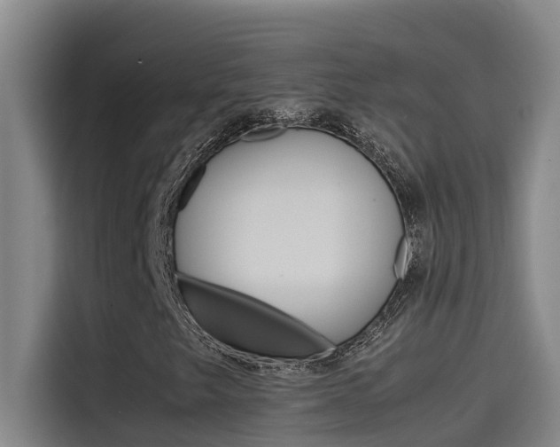 X0000115511249200911060955