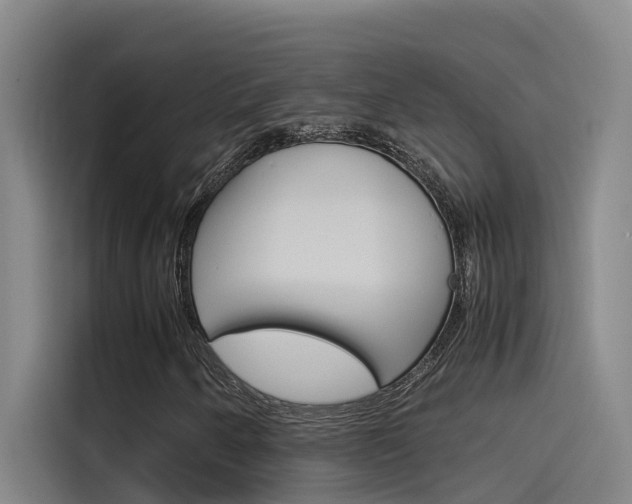 X0000115511250200911060955