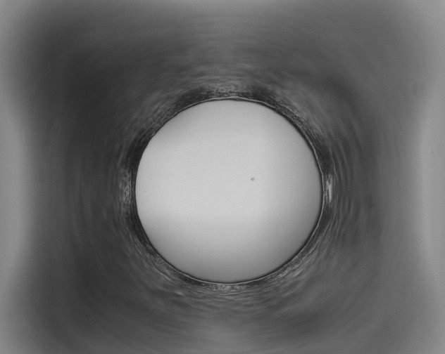 X0000115511251200911060955