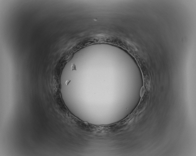 X0000115511253200911060955