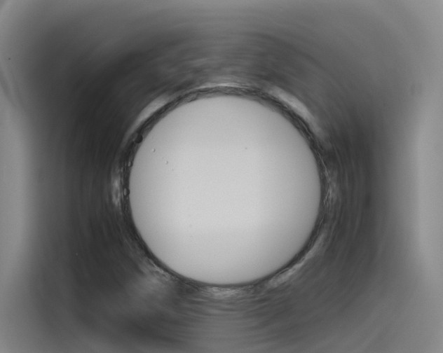 X0000115511258200911060955