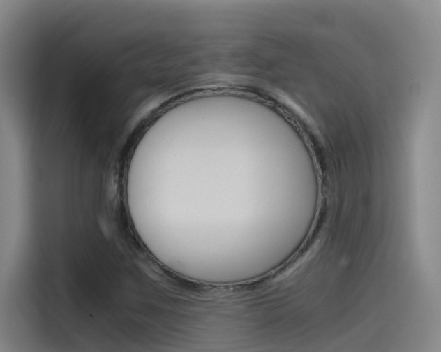 X0000115511259200911060955