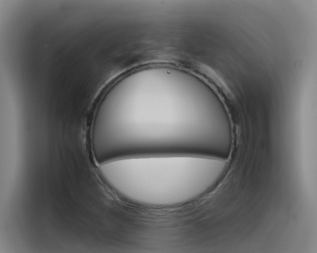 X0000115511260200911060955
