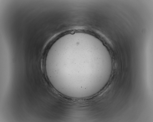 X0000115511262200911060955