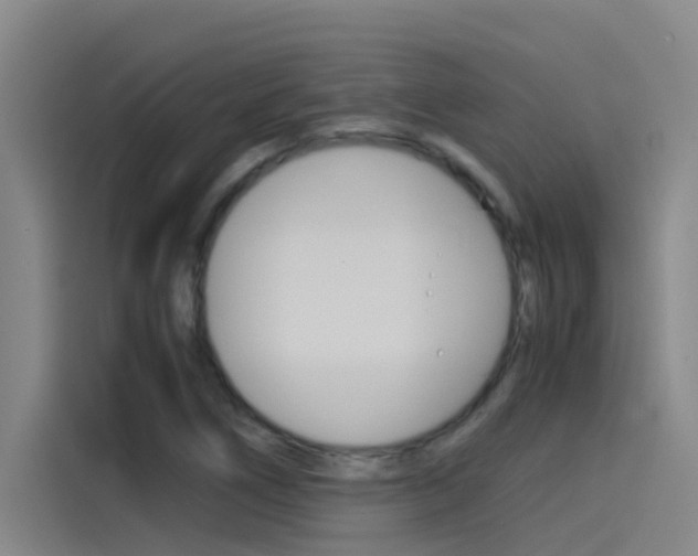 X0000115511266200911060955