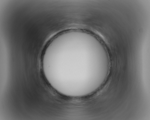 X0000115511267200911060955