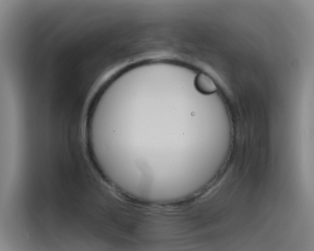X0000115511270200911060955