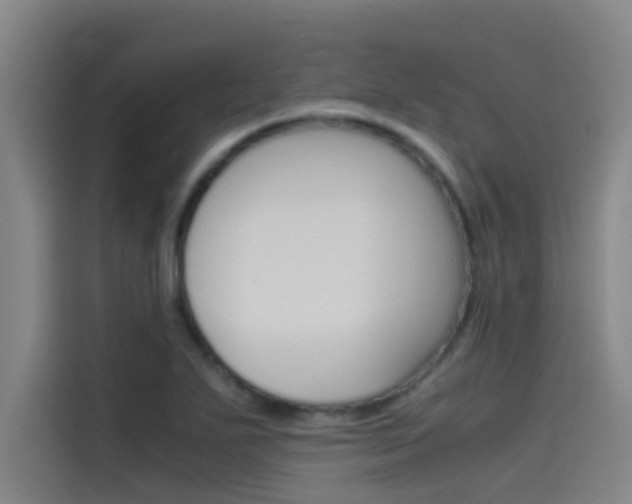 X0000115511271200911060955