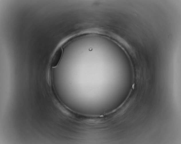 X0000115511272200911060955