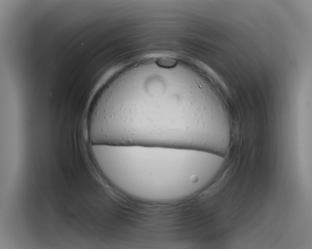 X0000115511274200911060955
