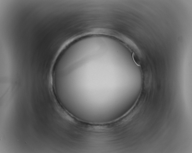 X0000115511280200911060955