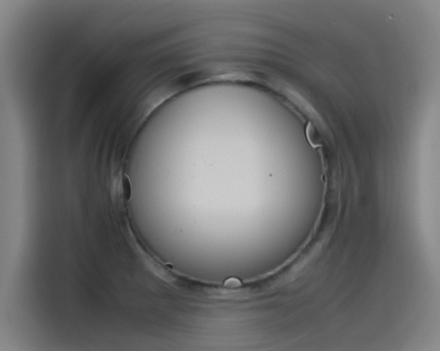 X0000115511281200911060955