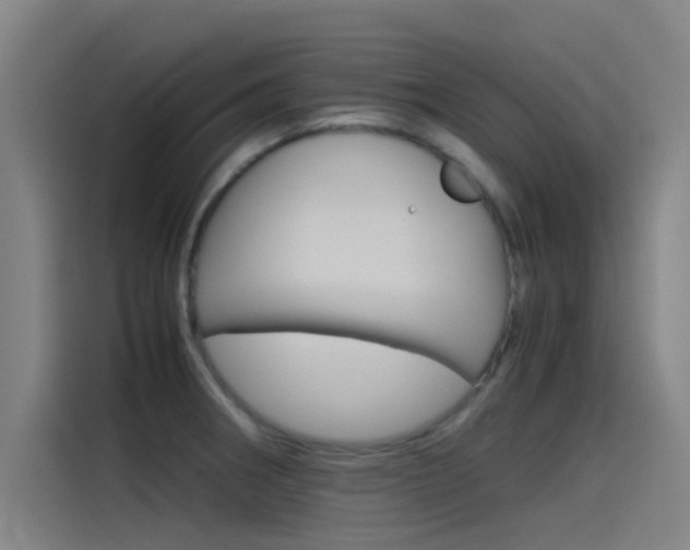 X0000115511282200911060955