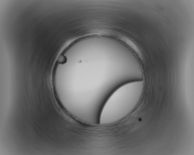 X0000115511283200911060955