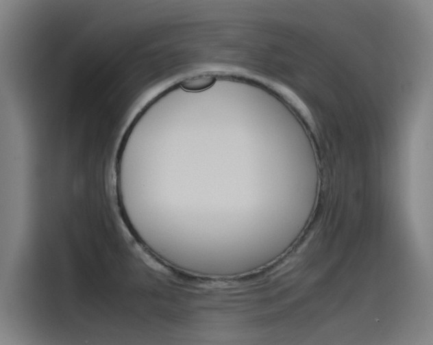 X0000115511287200911060955