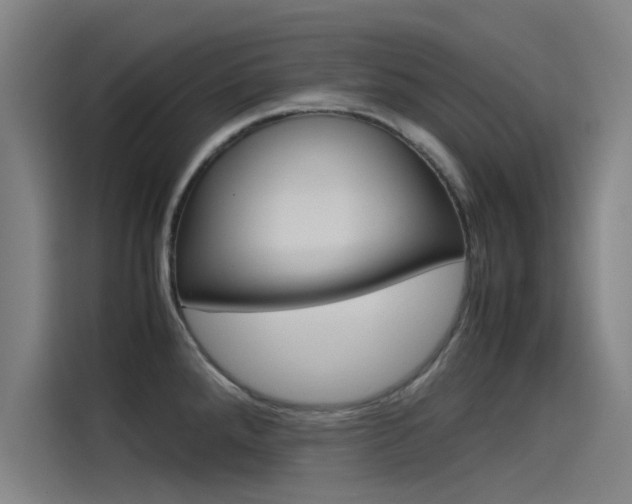 X0000115511288200911060955