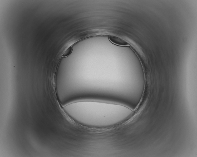 X0000115511289200911060955
