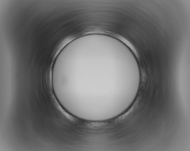 X0000115511290200911060955