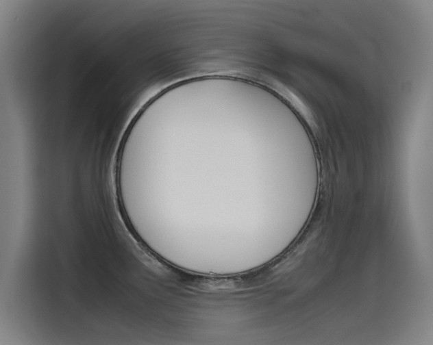 X0000115511291200911060955
