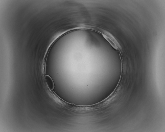 X0000115511292200911060955