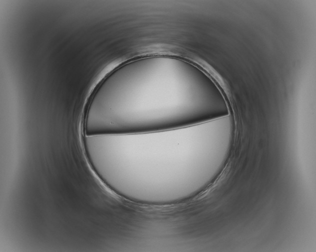 X0000115511293200911060955