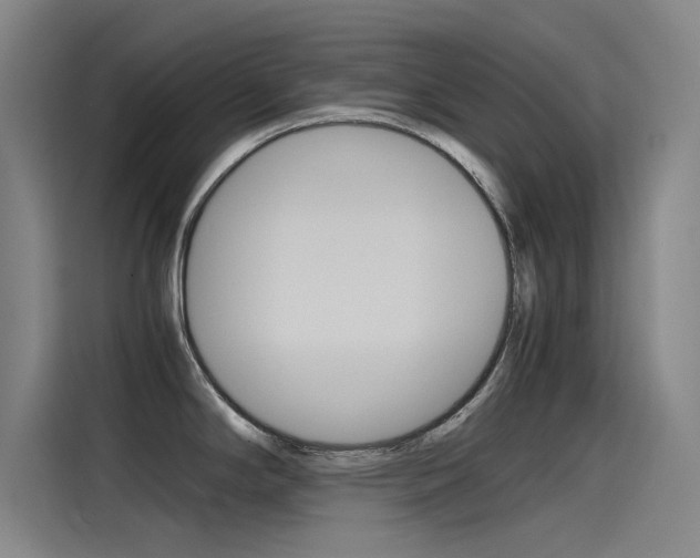 X0000115511294200911060955