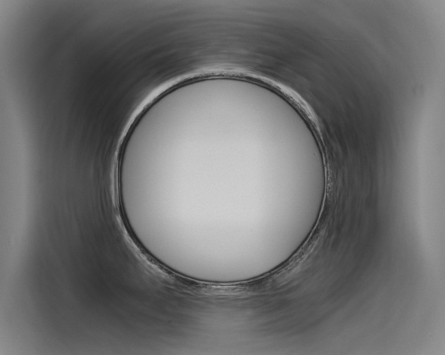 X0000115511295200911060955