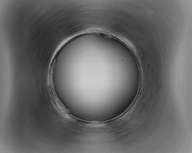 X0000115511296200911060955