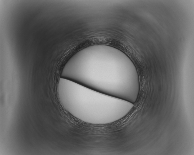 X0000115511297200911060954
