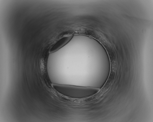 X0000115511298200911060954