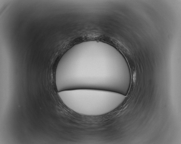 X0000115511299200911060954