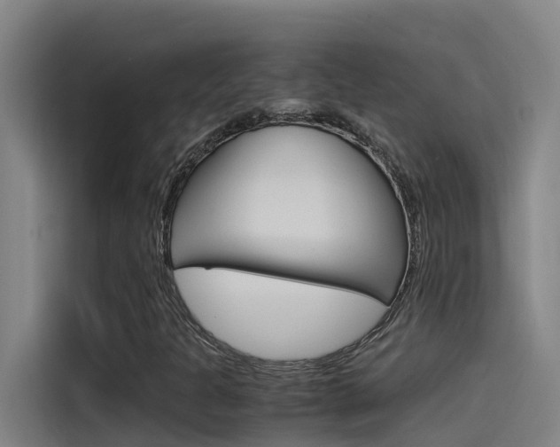 X0000115511301200911060954